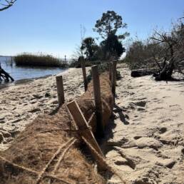 a newly installed coir log along a shoreline during an ongoing living shoreline project