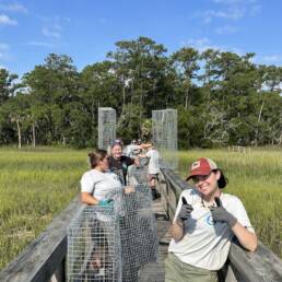 SRG staff work to install manufactured wire reefs that will stop erosion along a marsh shoreline during a living shoreline installation