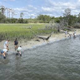 SRG staff work to install manufactured wire reefs that will stop erosion along a marsh shoreline during a living shoreline installation